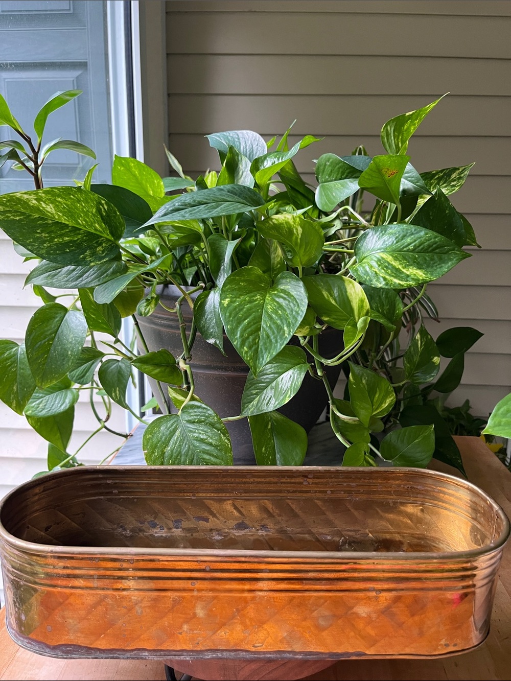 Vintage Long Oval Brass Planter Trough Cachepot Window Box Decor